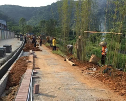 道路兩旁樹(shù)木種植綠化工程